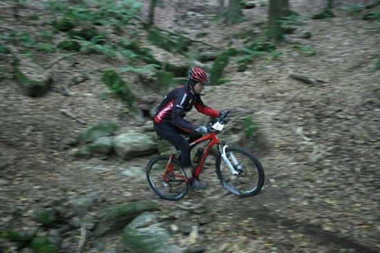 Auf und Ab im Schenckenwald 2008