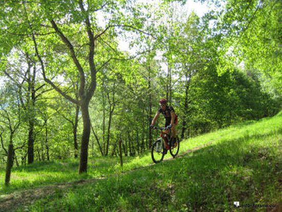 sulzbach-cross-country-400-42