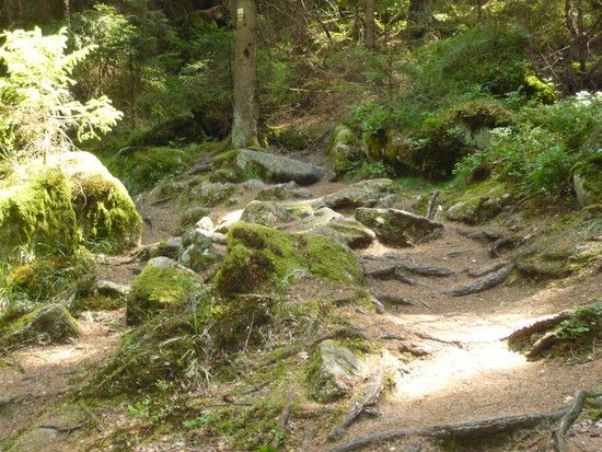 Goldsteig