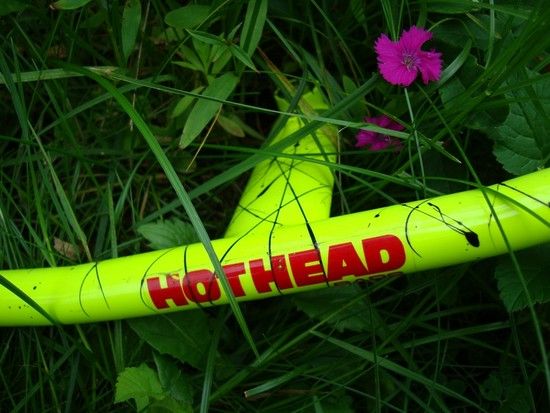 HH-LVE