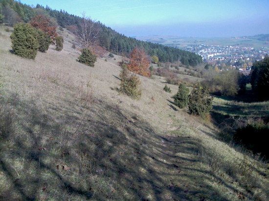 Hausrunde2