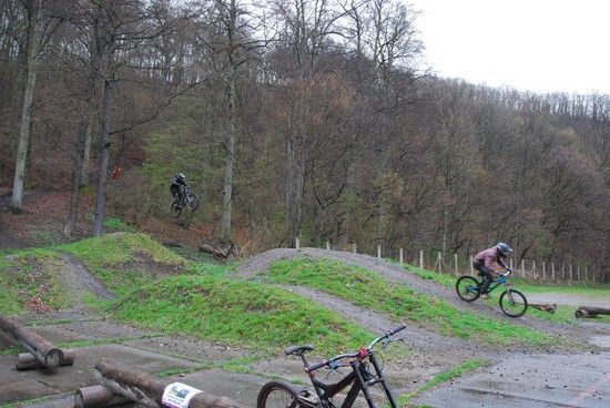 Thale Zieldouble