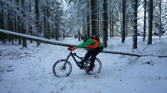 SitzenlassenFILEminimizer