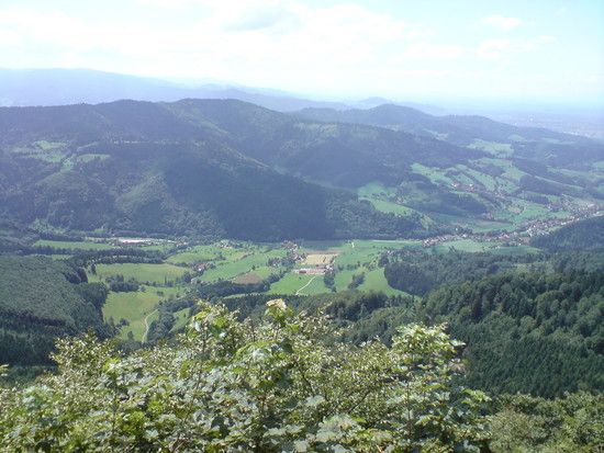DSC00706