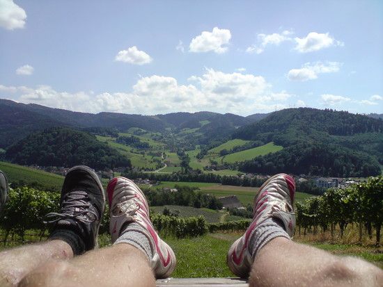 Blick aufs Glottertal