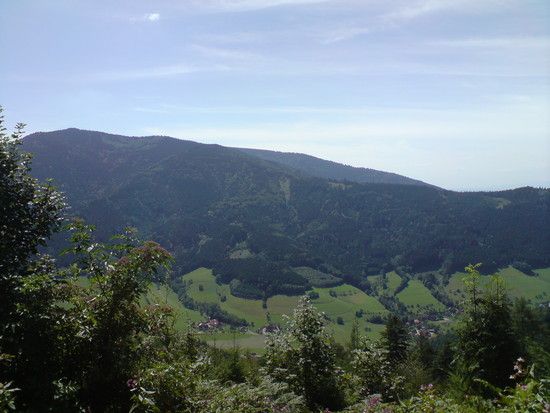 DSC00717