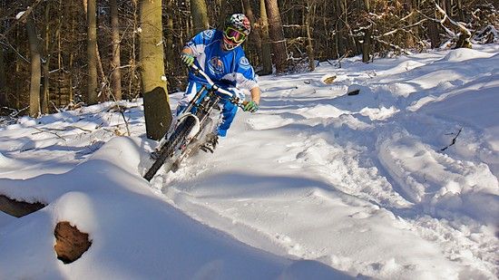 Shred Ahead