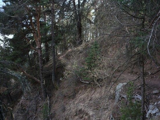 Trail1