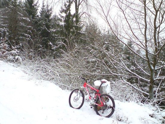 Tour am 17.01.09 VI