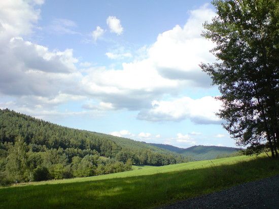 DSC00995