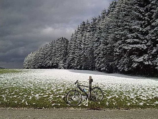 schneeineschach