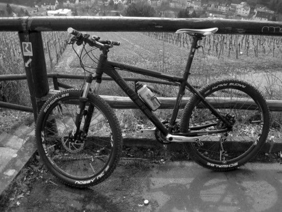 ltdpro2009