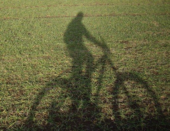 Ghostrider