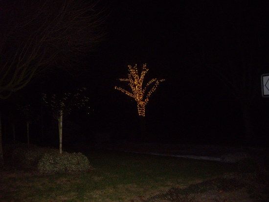 IMGP4168