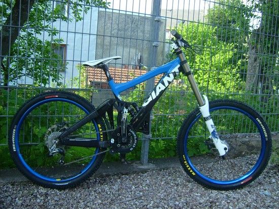 DSCI0117