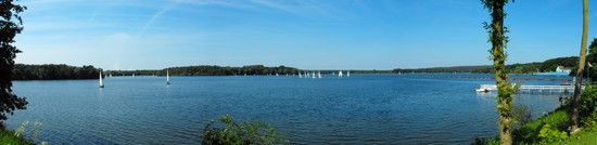 DSCF0445