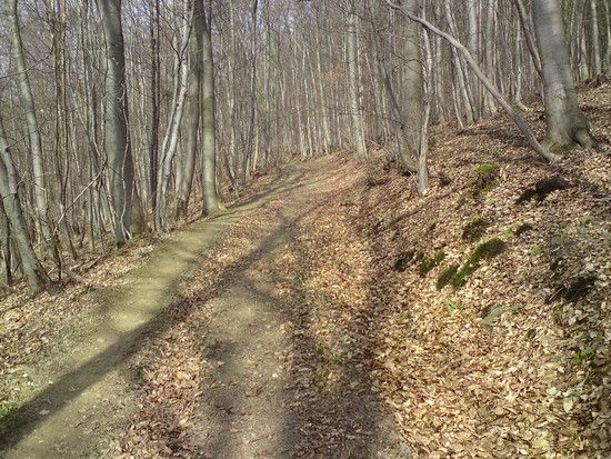 DSC00080