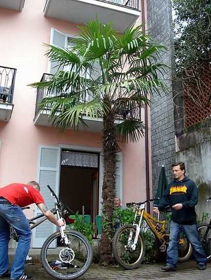 DSC05570