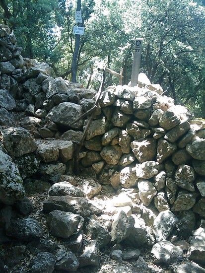 IMAGE 104