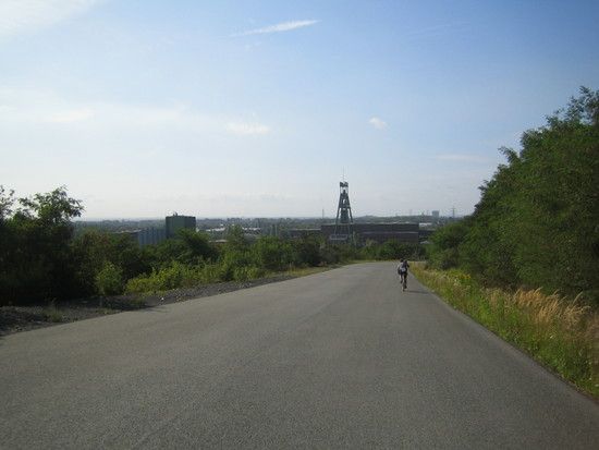 IMG 3975