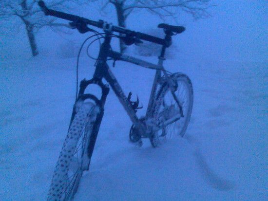 Bild016.jpg