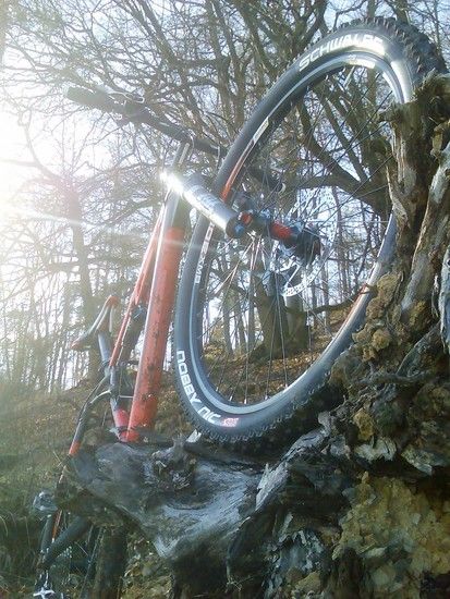 Bild017