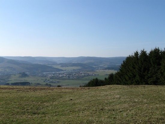 IMG 0294