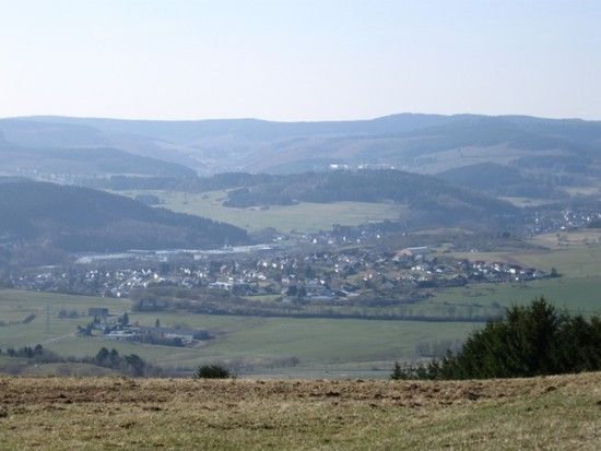 IMG 0295
