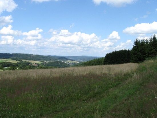 IMG 0473