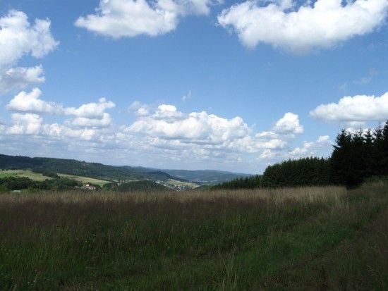IMG 0474