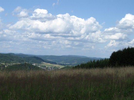 IMG 0475