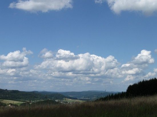 IMG 0477