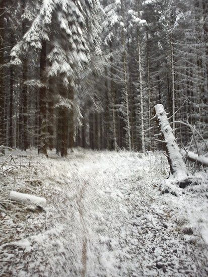 DSC00006