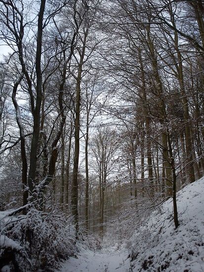 DSC00010