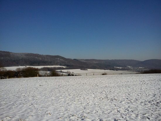 DSC00049 1297283043