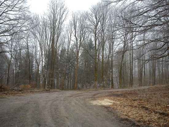 DSC00063 1298139951