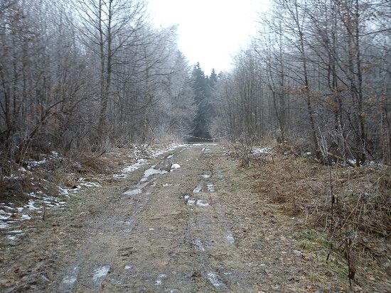 DSC00068