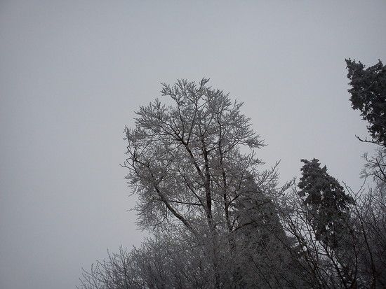 DSC00071