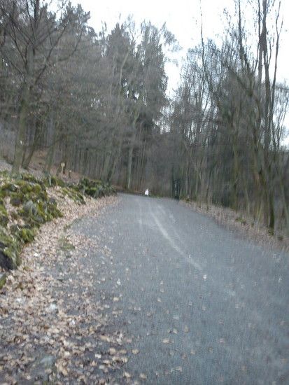 DSC00080