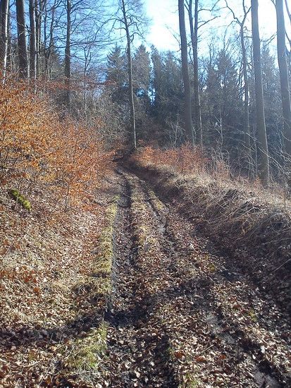 DSC00082