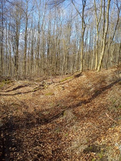 DSC00083