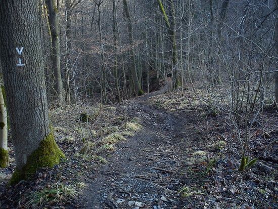DSC00090