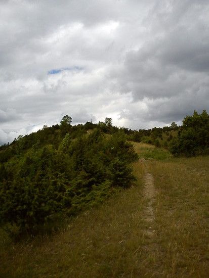 DSC00110