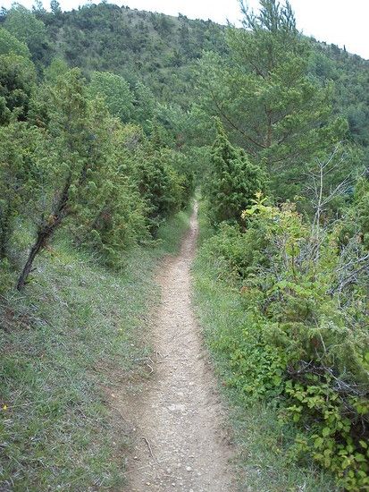 DSC00112