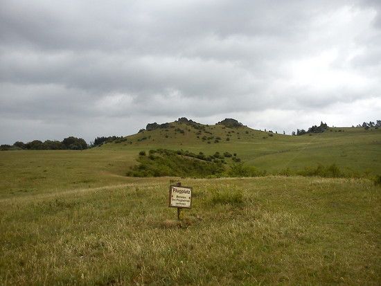 DSC00114
