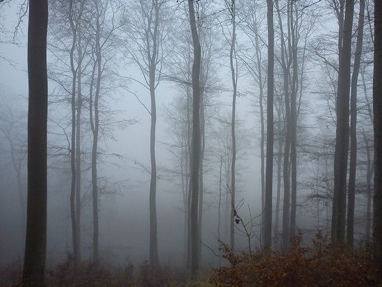 DSC00164