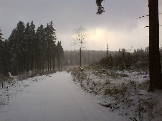 DSC00189