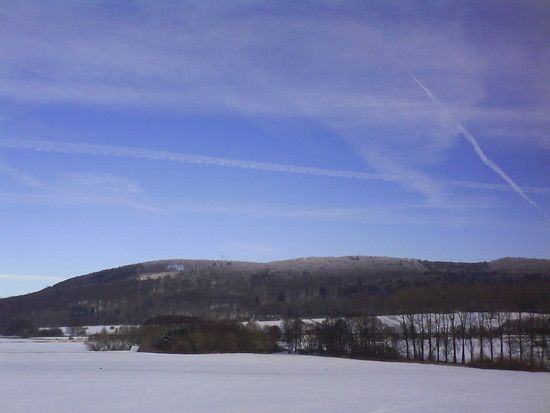 DSC00194
