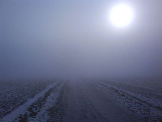 DSC00206