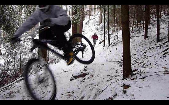 DAN whip dec2K10